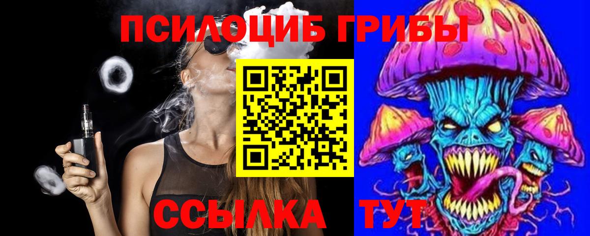 Ленинск-Кузнецкий  продажа наркотиков  Вход с VPN  Галлюциногенные грибы Psilocybine cubensis 