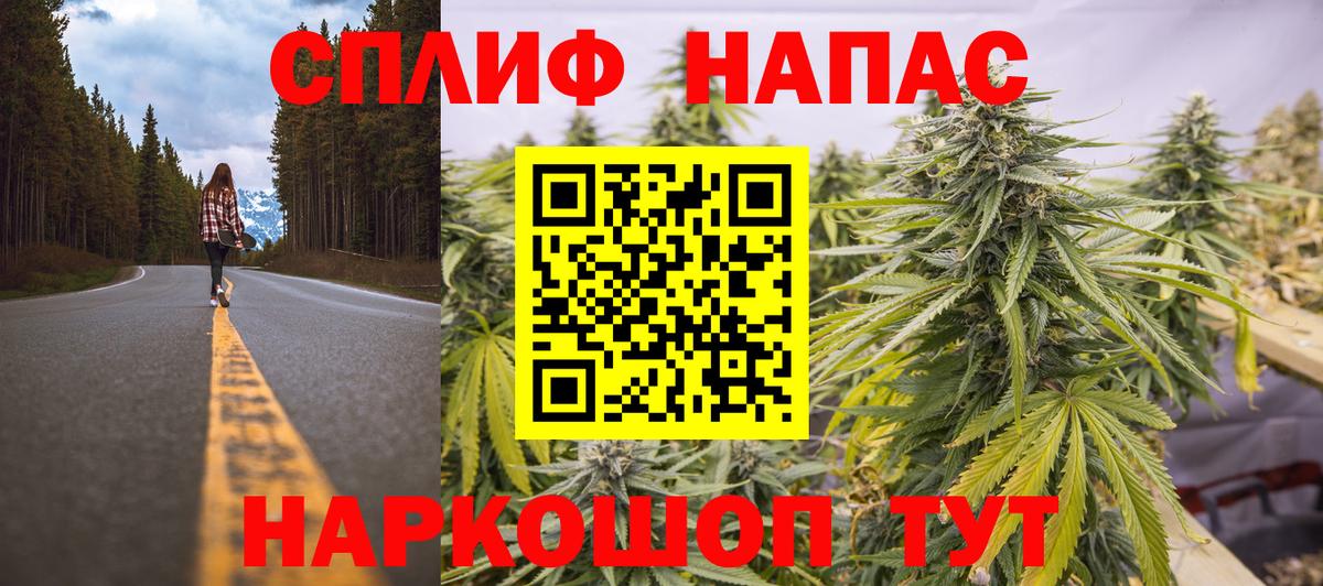 Бошки Шишки семена Ленинск-Кузнецкий
